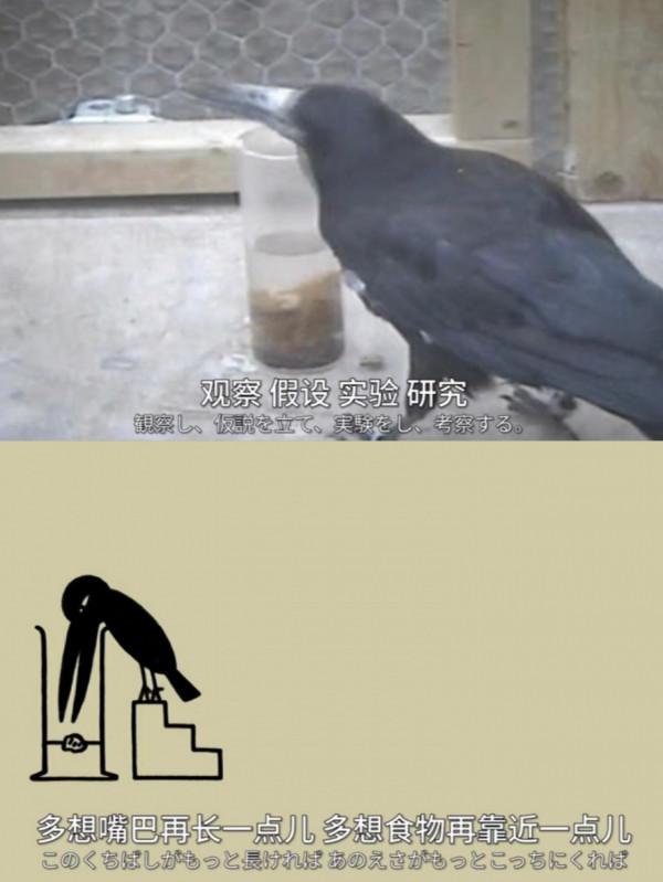 評分9.8的紀錄片,讓孩子學會思考,大腦更靈光,陪孩子看起來 評分9.8的紀錄片,讓孩子學會思考,大腦更靈光,陪孩子看起來