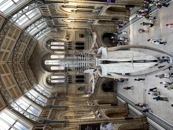 英國景點有哪些? 英國景點有哪些?