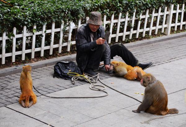 國足是選助理教練還是組建觀摩團抑或馬戲班？