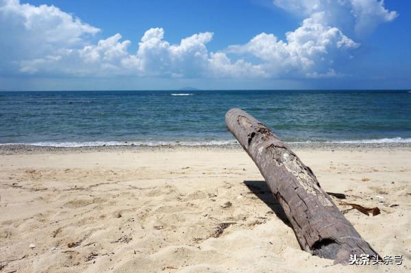 不要用你的愛，堵住了孩子所有的未來，你需要做的只有放手