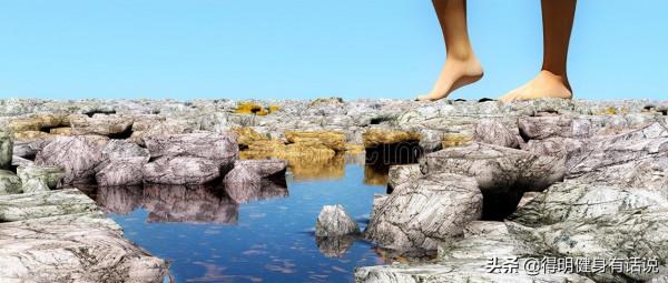 從經絡循行談養生求本 從經絡循行談養生求本