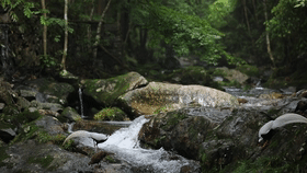 美麗的遇見細數那些“被偏愛”的大鳥
