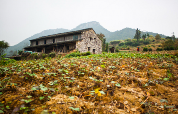 藏在浙江山澗處，有個世外桃源，滿眼夢幻紅杉林，並且鮮為人識
