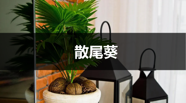 這樣裝修既漂亮又實用，引起極度的舒適感