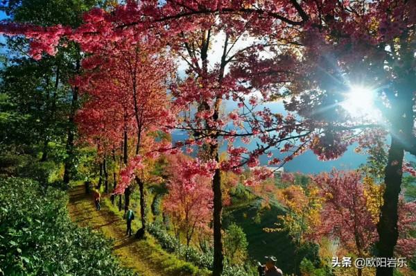 2021年僅剩二十多天,去這10個地方,赴一場久違的旅行吧 2021年僅剩二十多天,去這10個地方,赴一場久違的旅行吧