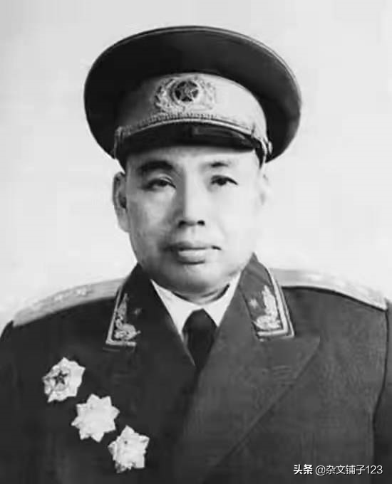 許世友晚年路過濟南，點名要見遲浩田：一定要找到九縱烈士的墓地