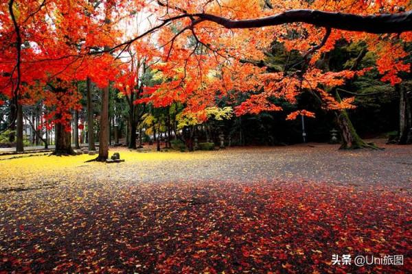 如果一生只能去一次日本,我選擇在秋天 如果一生只能去一次日本,我選擇在秋天