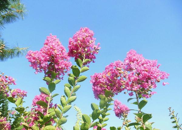 三觀正、人品好的星座，願意真心待人，值得交往