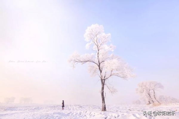 國內34省區最值得去的地方，個個都美得有魔力，此生不去心不安