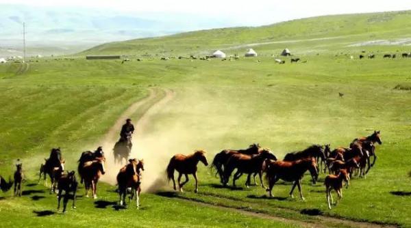 分享大美新疆 景色怡人 美美美