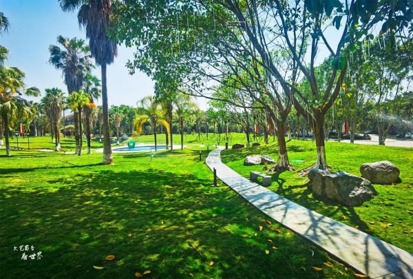 去攀枝花“過冬養老”,是東北人的新發現,比三亞和北海還舒適 去攀枝花“過冬養老”,是東北人的新發現,比三亞和北海還舒適