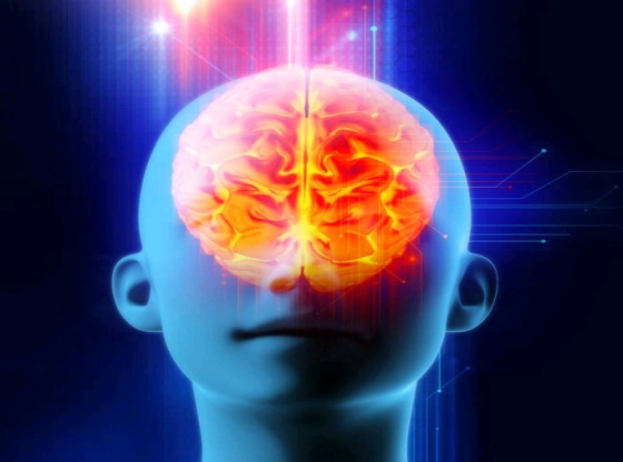 50歲後查腦CT，出現這4種問題，不需要特殊治療，別被坑了