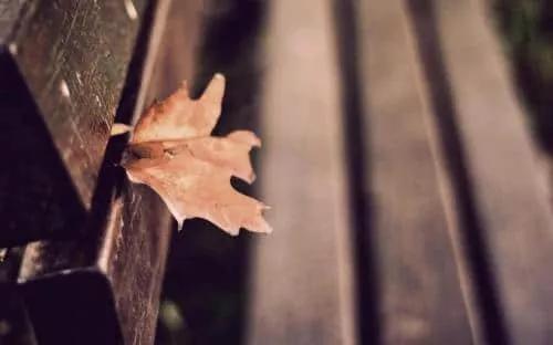 周圍中年男人突然猝死，促使我選擇放下，決心用愛營造一溫馨的家