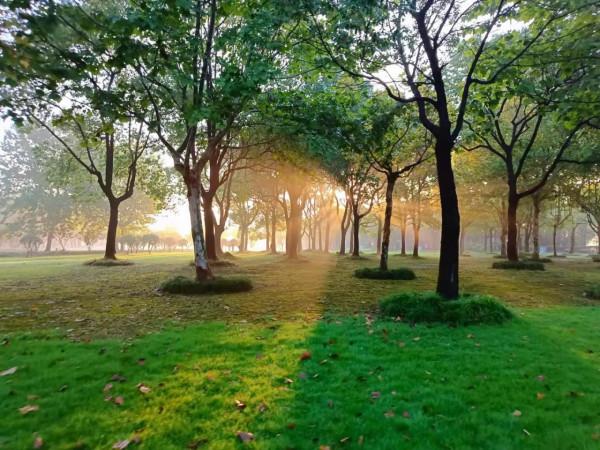 還未入門的初跑者的困惑