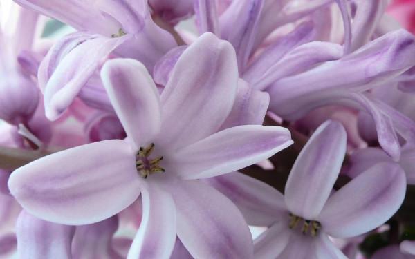 9月22日星座運勢:不甘平庸,突破瓶頸的四大星座 9月22日星座運勢:不甘平庸,突破瓶頸的四大星座