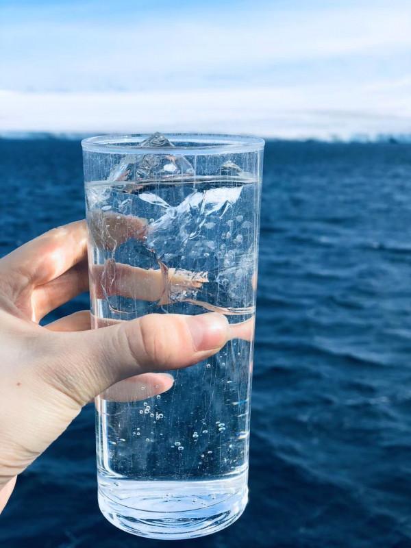 我們去南極結婚了 我們去南極結婚了