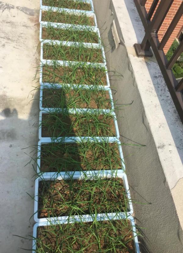 #WE 小威關鍵詞# 生活好幫手