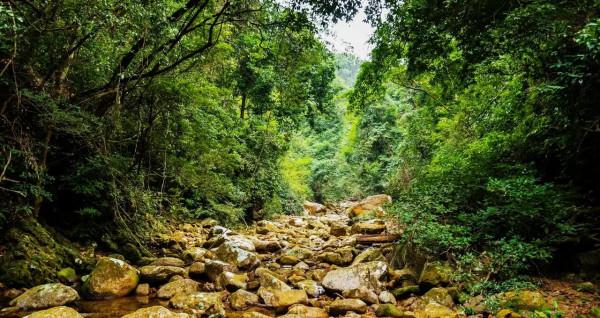 分享—十萬大山風光