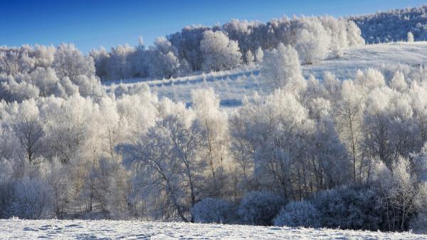 12月去哪玩?這8個美如畫卷的小眾打卡地,一到冬天就美成了仙境 12月去哪玩?這8個美如畫卷的小眾打卡地,一到冬天就美成了仙境
