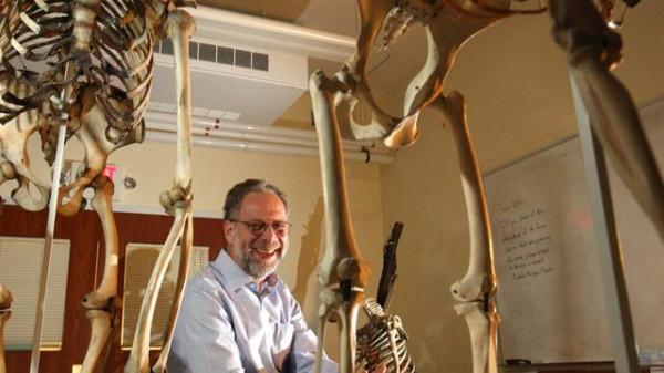 從人類生物學角度看，為何運動使人長壽？哈佛科學家：能量轉移了