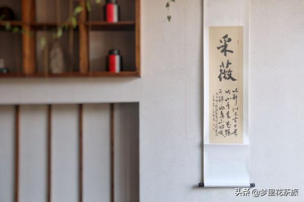 采薇姑娘 在武夷山販賣美好茶生活 &vert; 礫壤人物