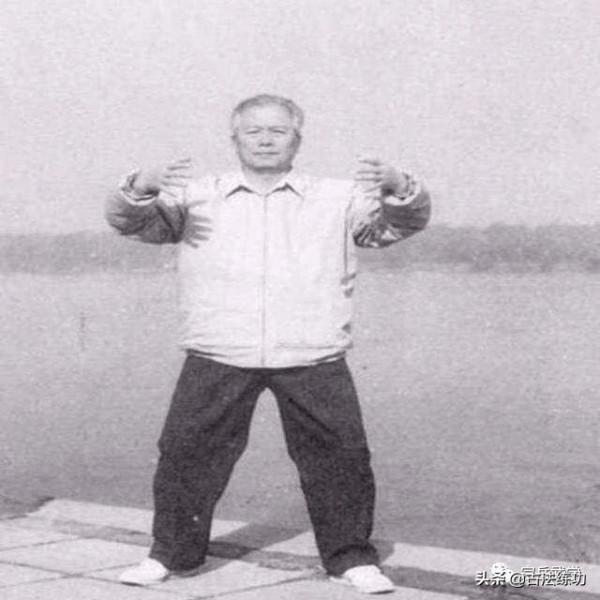 意拳武功----起拔樁功