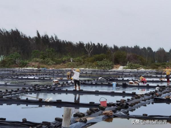 中國大陸最南端，有你可能還不知道的自然奇觀