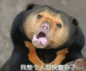 秦漢印記 &vert; 穿越到漢朝吃啥？開心時擼串，不開心時吃糠