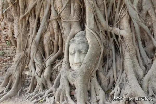 68張照片，帶你見識泰國，不為人知的一面