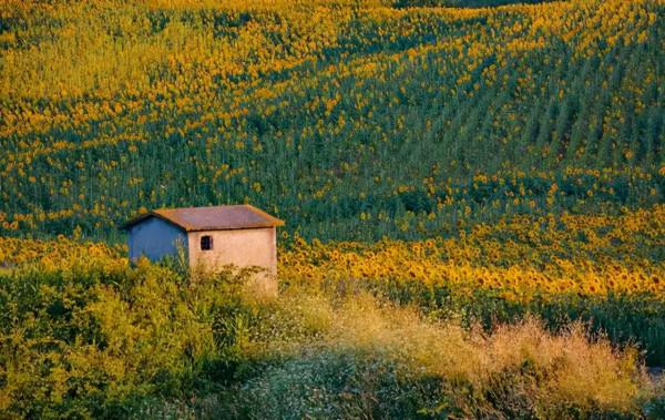 最好的修養,是不把情緒帶回家 最好的修養,是不把情緒帶回家