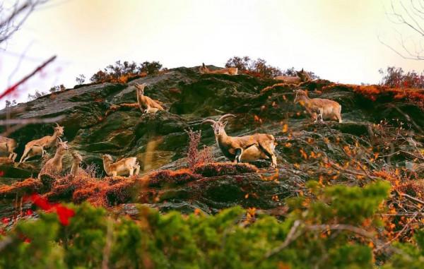 川西美景欣賞 川西美景欣賞