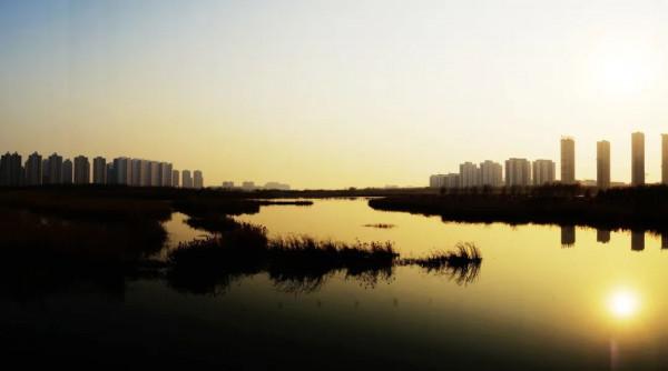 海陽溼地公園的“冬之美”