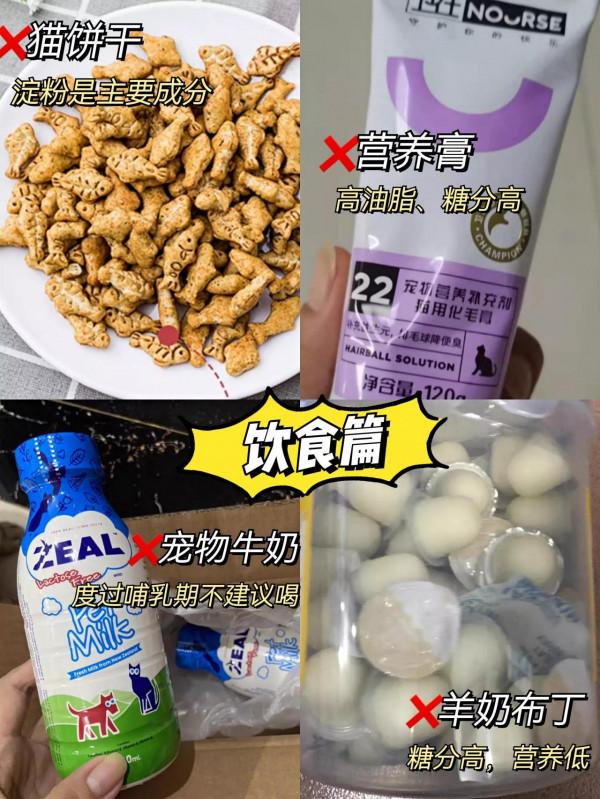 養貓買這些東西，簡直就是浪費