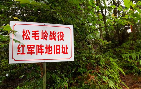 松毛嶺保衛戰，紅軍和村民堅守7晝夜犧牲近萬人，為長征贏得時間