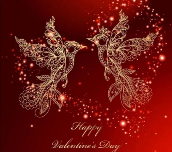 62對愛情鳥大比拼欣賞