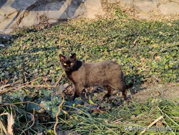 北京人在威海，冬天自駕裡口山幹嘛去，王家疃村新體驗