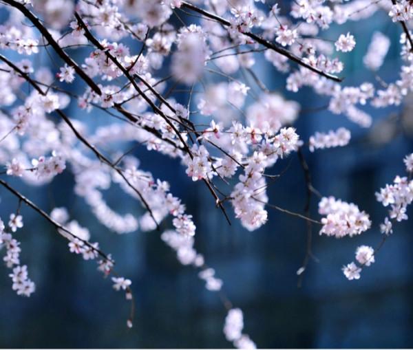 沉得住氣，能吃苦，還有魄力，膽識過人的星座