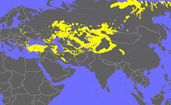 突厥人逃到阿富汗,推翻當地勢力建立王朝,統治225年 突厥人逃到阿富汗,推翻當地勢力建立王朝,統治225年