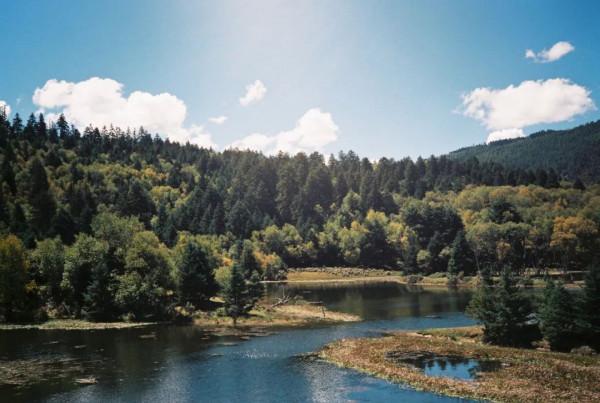 山系女孩的家：一個人在家露營，好好野