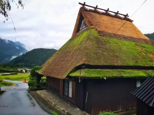 38間破茅草房竟成網紅村，每年30萬人打卡，美麗鄉村怎離得開