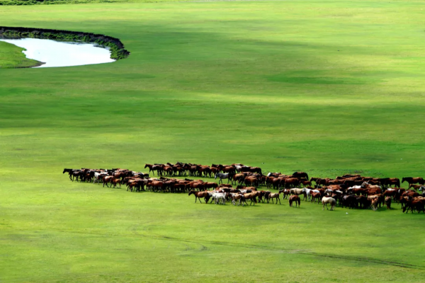 中國西南最偉大的古道，早該火了