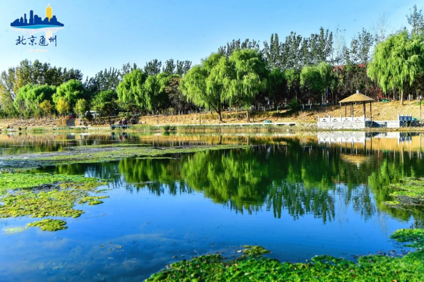 再現大運河北首盛景！副中心實施了這些大工程！附重要規劃