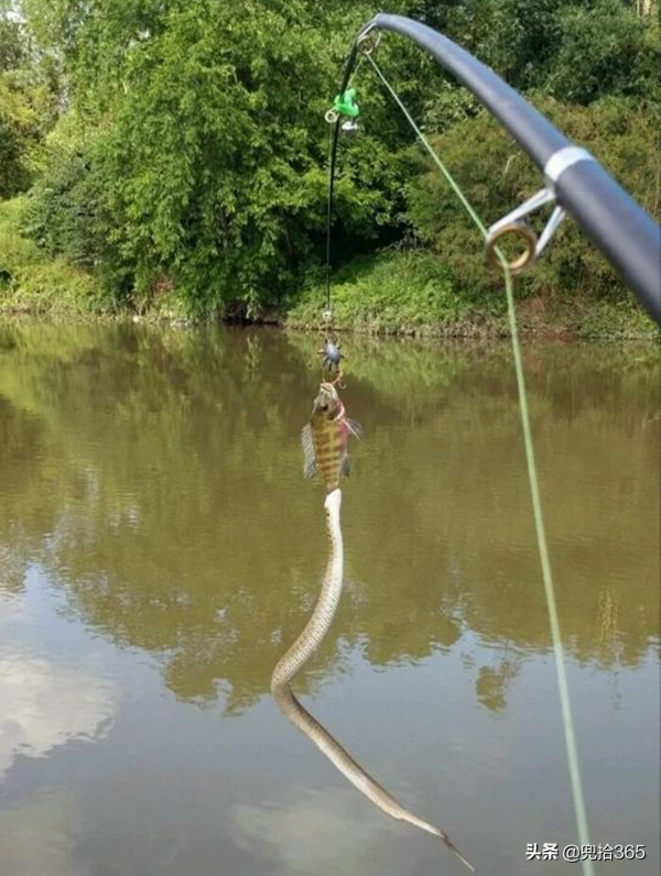海南一男子野釣的罕見經歷，一次釣獲兩條魚，看清後扔下魚竿就跑