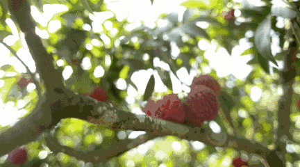 苦等5年終通高鐵！這座比成都還巴適的酒城，為了吃也要去一趟