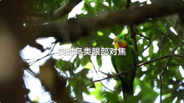 索尼釋出α7M4:不到一萬七,照片面向人人、影片雙影像創作工具 索尼釋出α7M4:不到一萬七,照片面向人人、影片雙影像創作工具