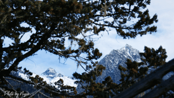 我一生中最棒的一次旅行，是踏上G219的那一刻！