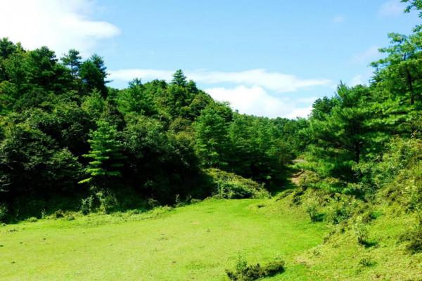 國慶小長假,朝天這個地方一定要去,植被茂盛,綠樹成蔭 國慶小長假,朝天這個地方一定要去,植被茂盛,綠樹成蔭