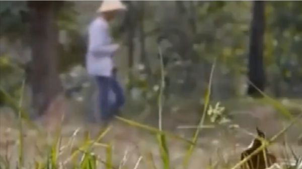 1985年小村莊挖出大型墓葬群，陪葬品價值連城，距今已經5300多年