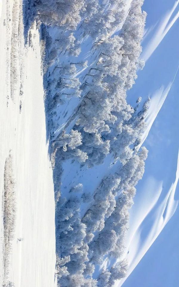 高畫質圖集！塔克拉瑪干沙漠下雪了