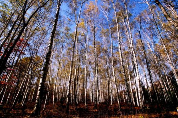 東北十大冷門景點，人少景美好玩